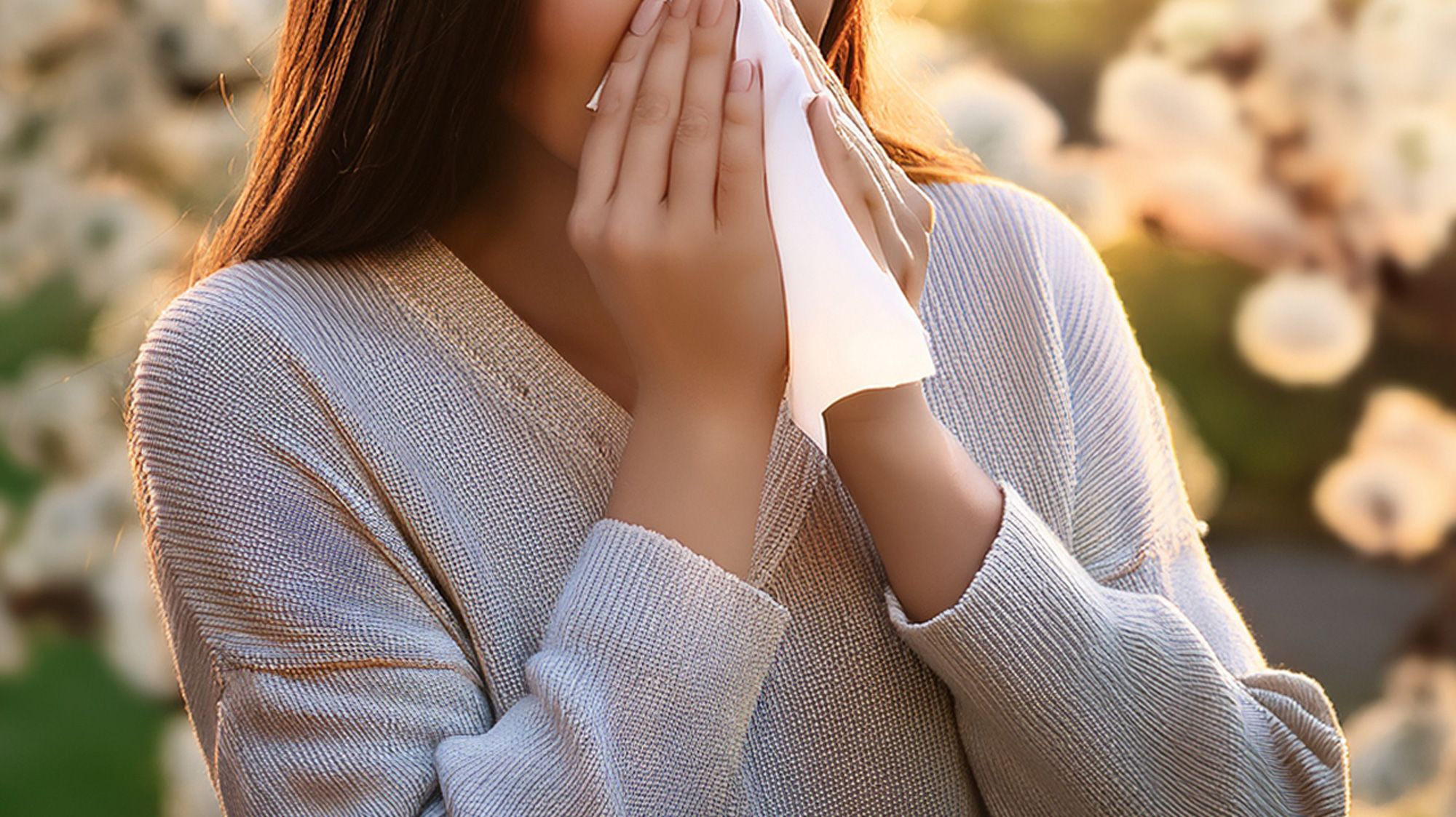 オランダで花粉症がつらい…！対策とおすすめの市販薬ガイド