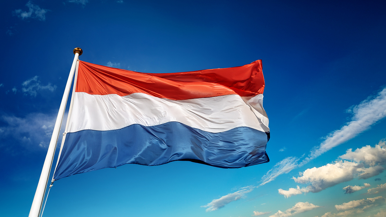 「トランプのような指導者は避けたい」王制支持が上昇─オランダ世論に変化